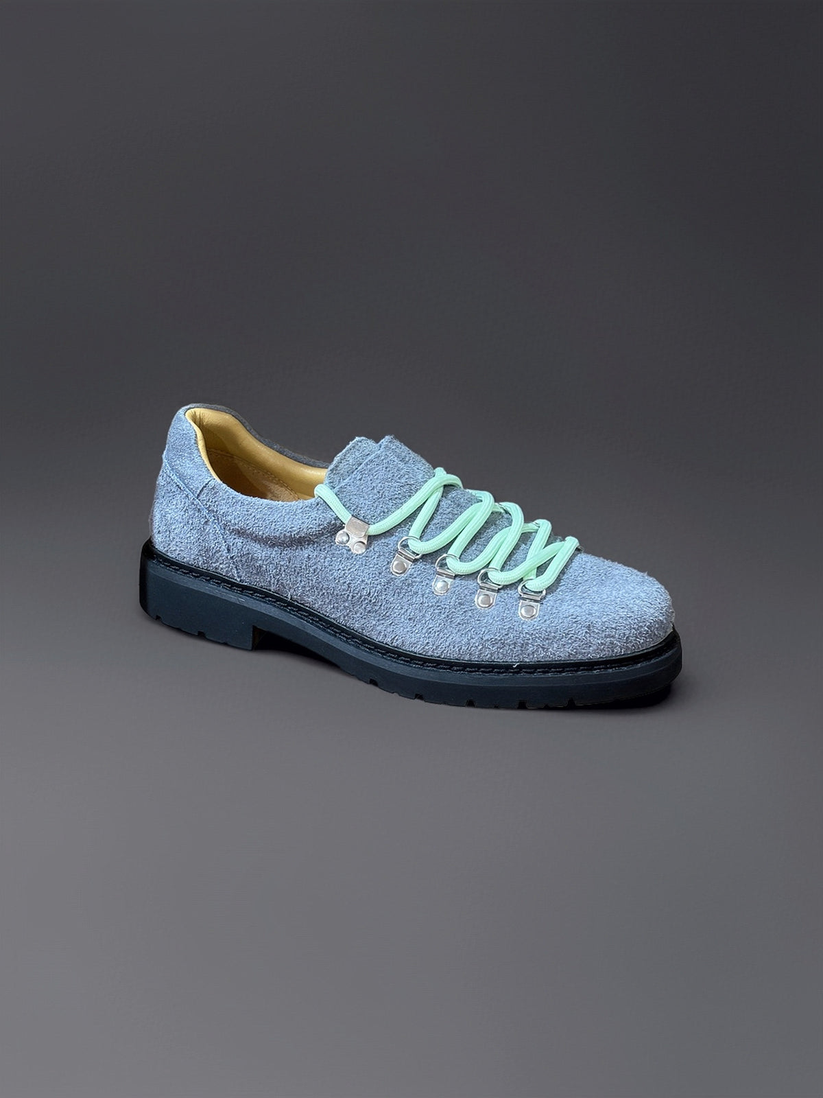 66593 GRIS