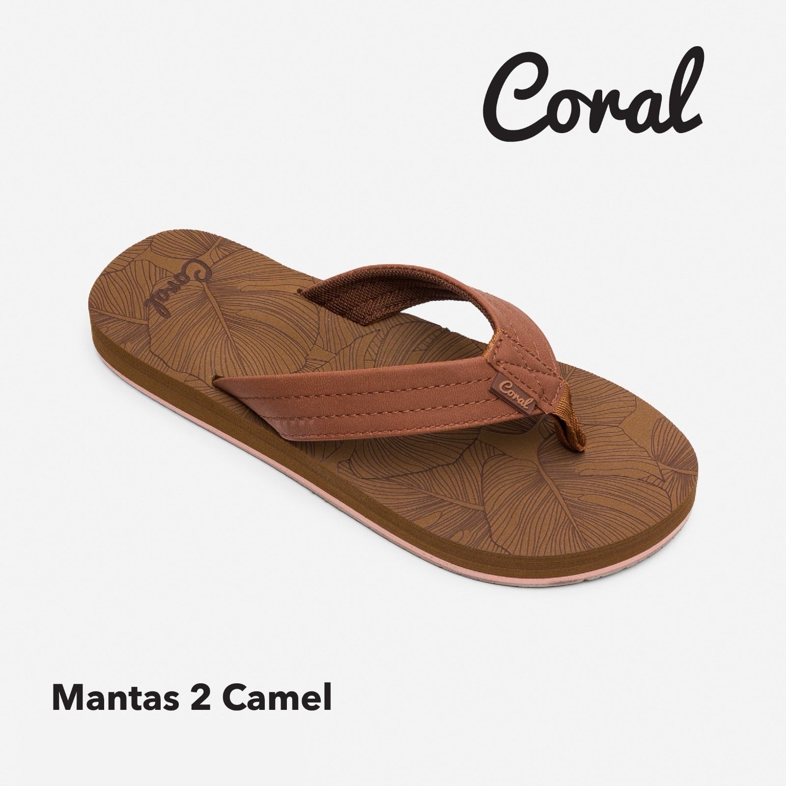 Manta2 Camel