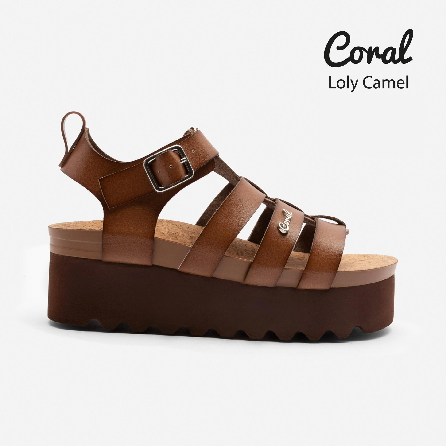 Loly Camel