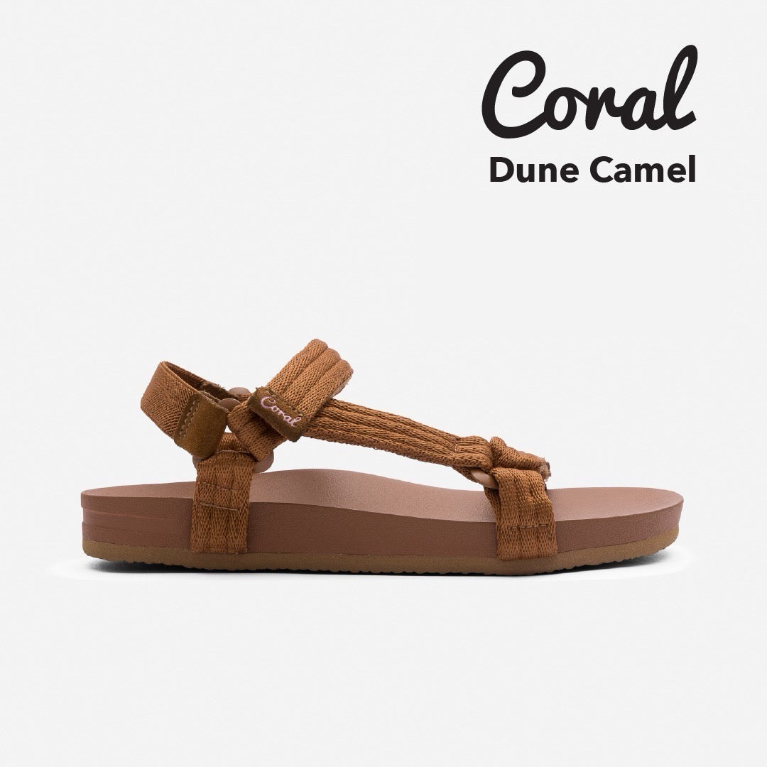 Dune Camel
