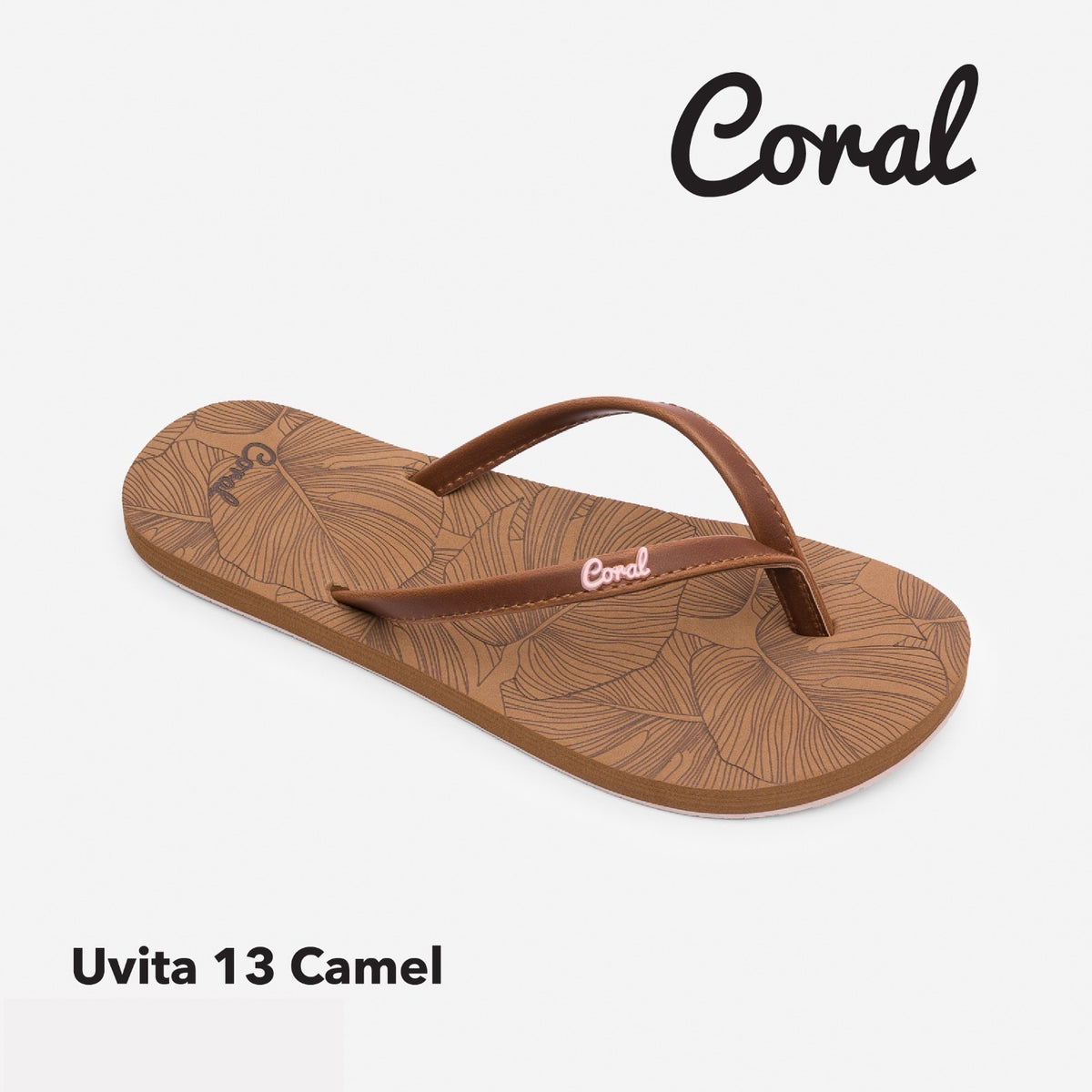 Uvita13 Camel