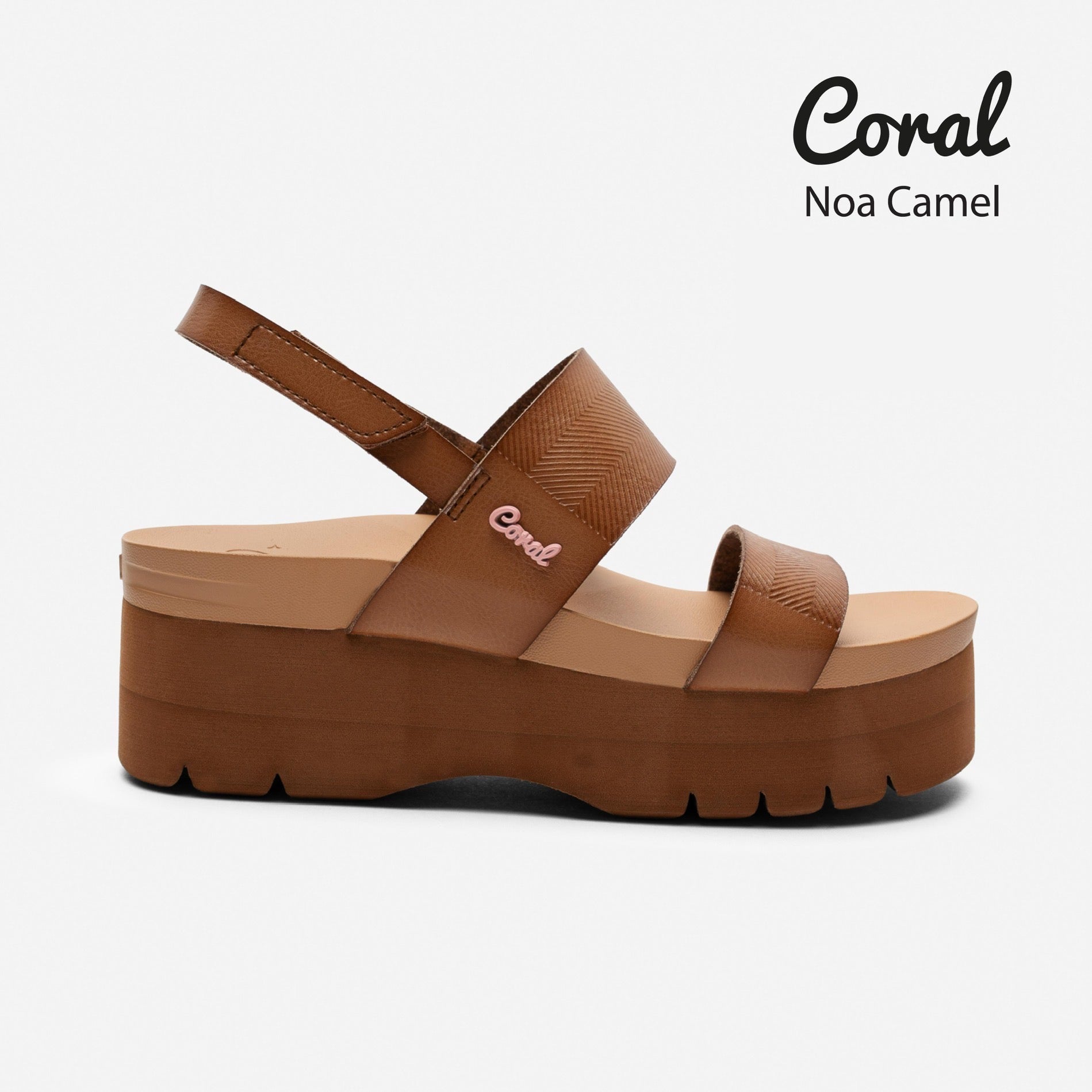 Noa Camel